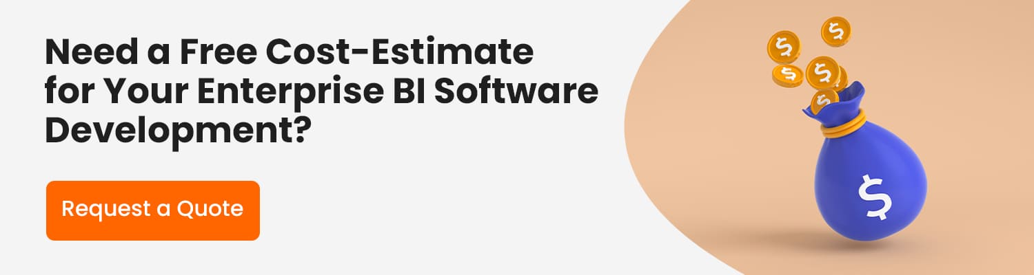 BI Software Development